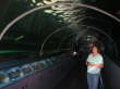 ...ein Meeresaquarium mit glas�berdachten Tunneln.