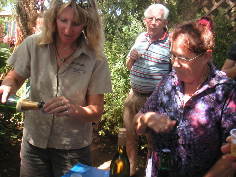 Verkostung von Mangowein.
