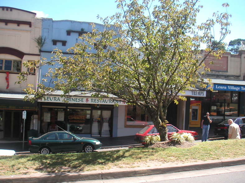 Leura ist ein beliebter Ausflugsort in den Blue-Mountains.