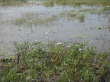 der sich in der Regenzeit mit Wasser f�llt und w�hrend der Trockenzeit mehr oder minder stark austrocknet.