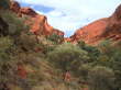 Im Kings Canyon.