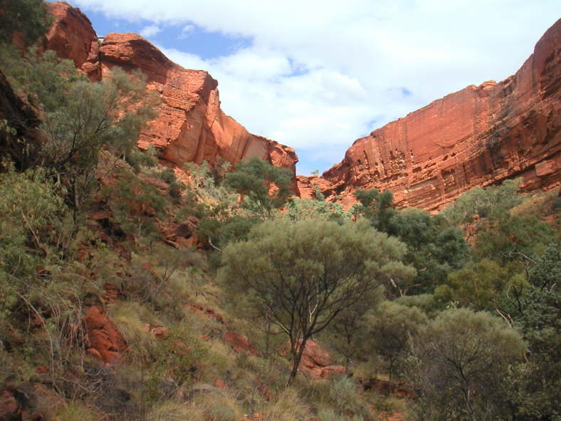 Im Kings Canyon.