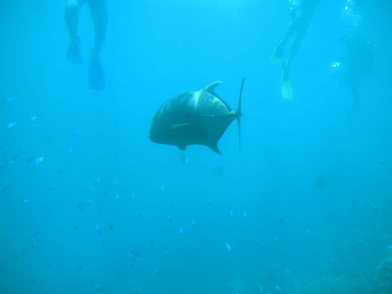 Blick aus dem Unterwasserobservatorium.