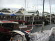 Port Douglas