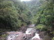 Daintree-Nationalpark