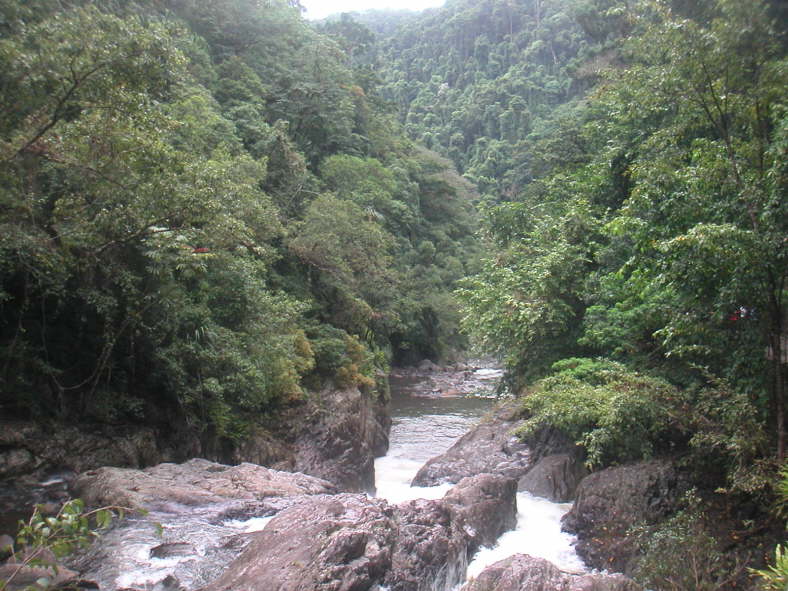 Daintree-Nationalpark