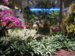 ...sondern Singapurs Flughafen Changi von innen.
