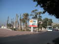 PICT0006