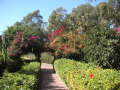 PICT0049