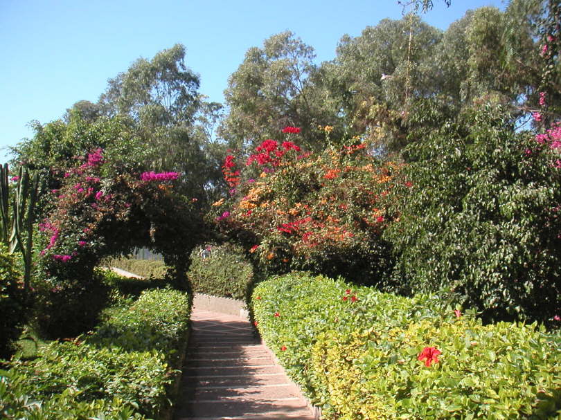 PICT0049