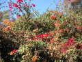 PICT0050