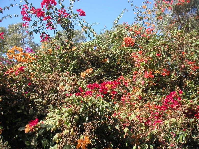 PICT0050