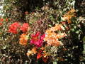 PICT0052