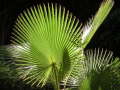 PICT0055