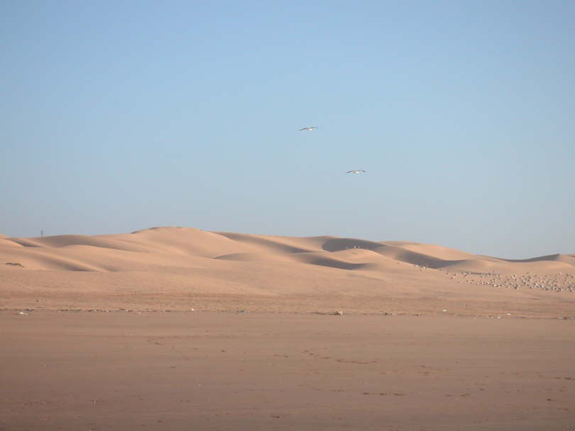 von Sahara