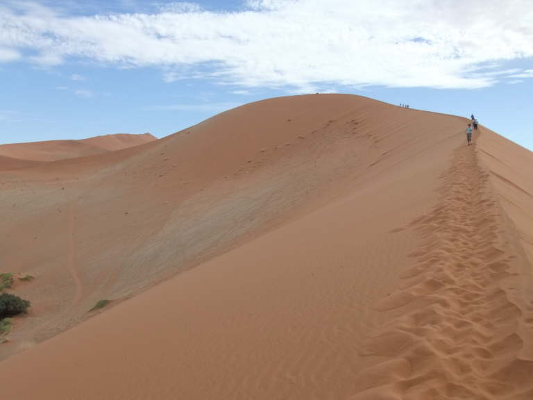Die Sossusvlei D�ne ist fast 200 m hoch.