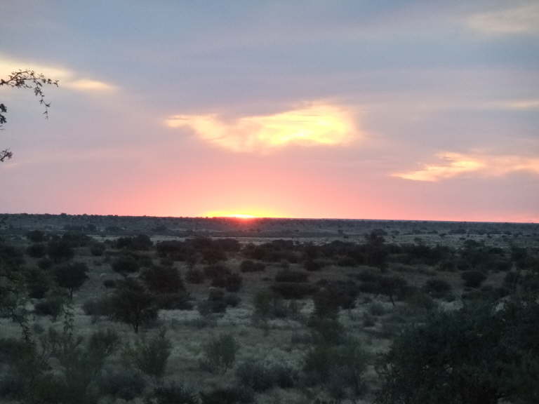 Kalahari Sunset