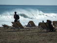 Platja de la Barceloneta