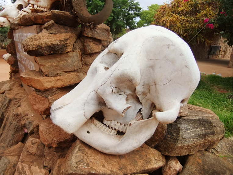 im Nationalpark Tsavo Ost