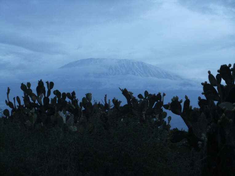 Am Abend gab es doch noch einen Blick auf Afrikas h�chstes Bergmassiv (5.893 m).