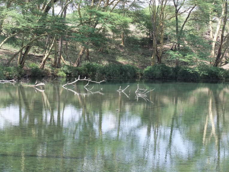 Aus diesem See erh�lt Mombasa das Trinkwasser.