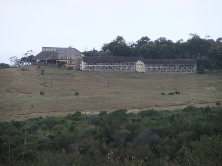 Ngulia Safari Lodge