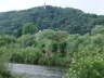 Die Mosel - im Hintergrund die Mariens�ule