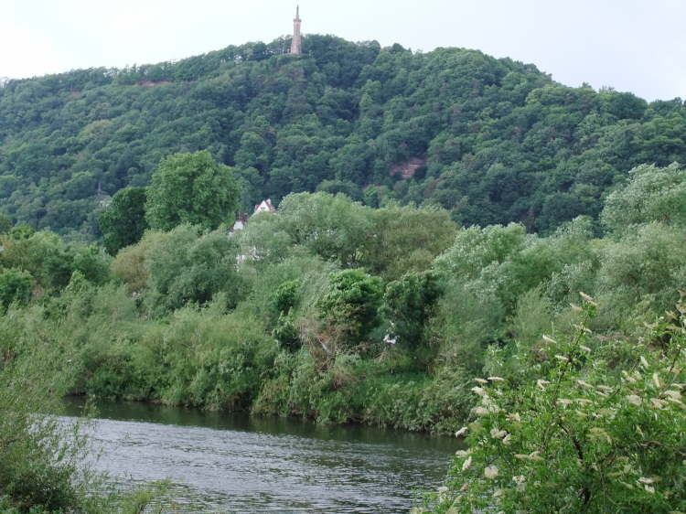 Die Mosel - im Hintergrund die Mariens�ule