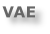 VAE