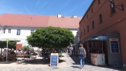 Klicken Sie auf das Bild, um es zu vergr&ouml;&szlig;ern