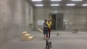 Klicken Sie auf das Bild, um es zu vergr&ouml;&szlig;ern