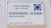 Klicken Sie auf das Bild, um es zu vergr&ouml;&szlig;ern