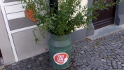 Klicken Sie auf das Bild, um es zu vergr&ouml;&szlig;ern
