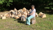 Klicken Sie auf das Bild, um es zu vergr&ouml;&szlig;ern