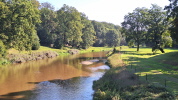 Klicken Sie auf das Bild, um es zu vergr&ouml;&szlig;ern