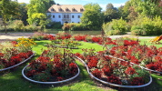 Klicken Sie auf das Bild, um es zu vergr&ouml;&szlig;ern
