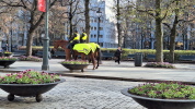 Klicken Sie auf das Bild, um es zu vergr&ouml;&szlig;ern