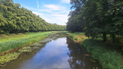 Klicken Sie auf das Bild, um es zu vergr&ouml;&szlig;ern
